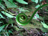 sn_18_kt (100).JPG