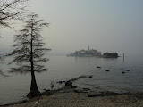sn_asc_230208 (84).JPG