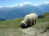 sn_baltsch_140707 (41).JPG