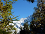 P1020417.JPG