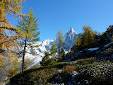 P1020422.JPG