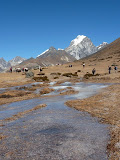 nepal_2 (912).JPG