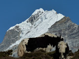 nepal_2 (886).JPG