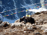 nepal_2 (949).JPG