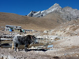 nepal_3 (376).JPG