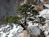 nepal_5 (222).JPG
