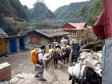 nepal_5 (296).JPG