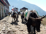 nepal_5 (378).JPG