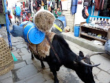 nepal_1 (291).JPG