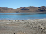 P1050873.JPG