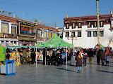P1060011.JPG