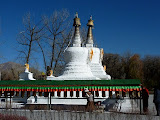 P1060276.JPG