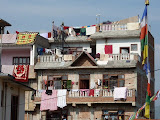 P1060790.JPG