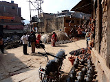 P1060893.JPG