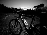 IMG_0206.JPG
