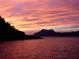 P1080038.JPG