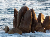 P1080224.JPG