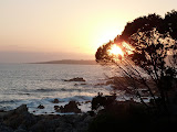 P1080255.JPG