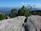 P1080319.JPG