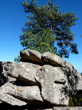 P1080329.JPG