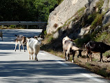 P1080340.JPG