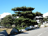 P1080347.JPG