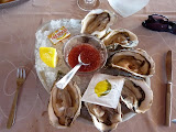 P1080381.JPG