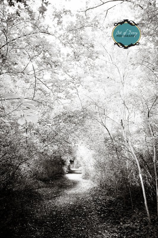 chesapeake arboretum