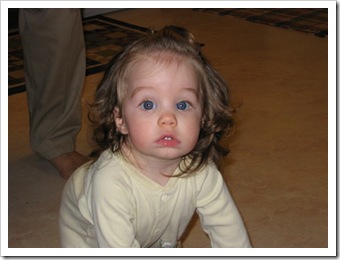 pictures 055