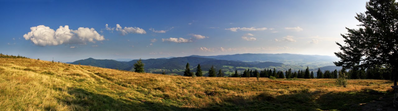 http://lh3.ggpht.com/_vdI8QLKW7Ew/Spl7kW-gKEI/AAAAAAAAQaA/5U6jMd_Hd04/s1280/%C4%86wilin%20Panorama.jpg