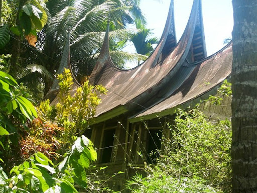 http://lh3.ggpht.com/_ve-mkMwoE1k/SnRXTxS_OuI/AAAAAAAABCs/en0_cTmQ6Is/chat2610-5.JPG