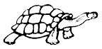 dinosaur colouring page - tortoise