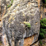 IMG_3874 copia.jpg