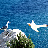 IMG_4767 copia.jpg