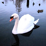 IMG_5031.jpg