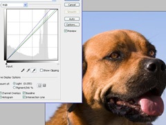whitedropper image showing the white dropper in the curves function in photoshop