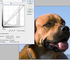 graydropper image showing the gray dropper in the curves function in photoshop