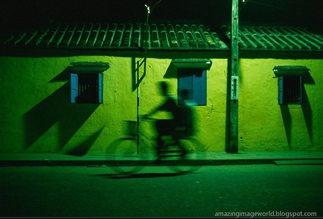 [LIFE IN COLOUR_GREE001[4].jpg]