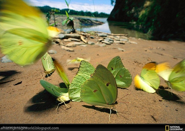 [LIFE IN COLOUR_GREE002[5].jpg]