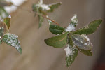DSC_0046.JPG
