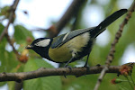 dsc_0227.jpg