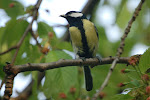 dsc_0225.jpg