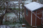 Tuinhuis en voederplank