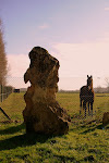 Balegems erfgoed in de Broek