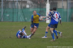  rugby