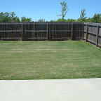 Backyard.