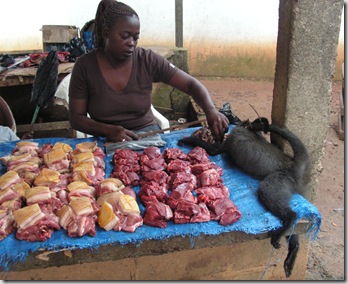 bushmeat