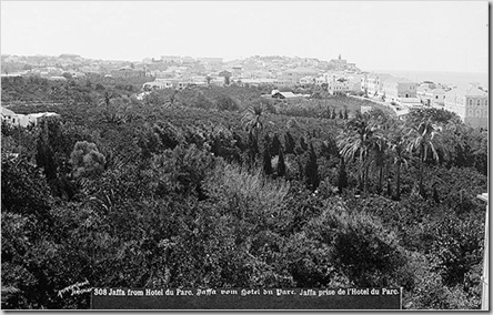clip_image005 clip_image005