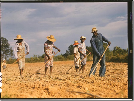 Chopping cotton on rented land near White Plains. White Plains, Greene County, Georgia, June 1941. Reproduction from color slide. Photo by Jack Delano. Prints and Photographs Division, Library of Congress