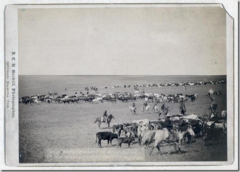 Title: Round-up scenes on Belle Fouche [sic] in 1887
Cowboys and cattle on range.
Repository: Library of Congress Prints and Photographs Division Washington, D.C. 20540